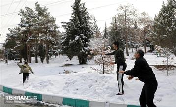 روز برفی در منطقه 13 11