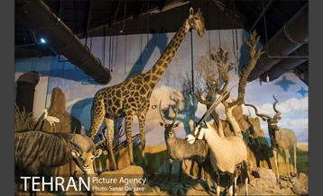 دهمین تور عکاسی آژانس عکس تهران از مکان های شاخص منطقه یک 15