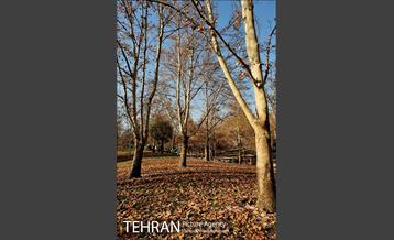 پاییز برفی پارک ملت 18