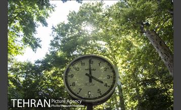 بوستان باغ ایرانی 3