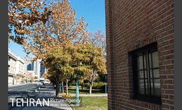 بوستان باغ نو 1