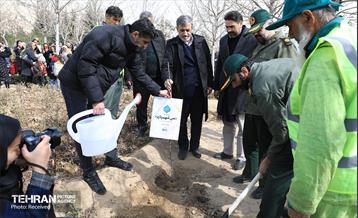 مراسم روز درختکاری در منطقه 12 13