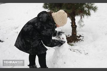 روز برفی تهران - 2 1
