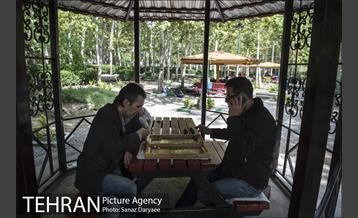 بوستان فدک‎ 8