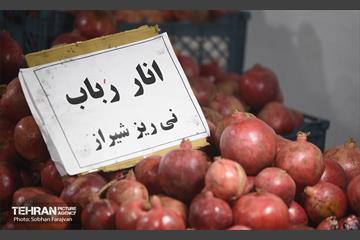 یازدهمین جشنواره صد دانه یاقوت 33