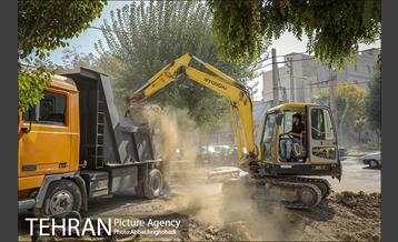 پلازای هاشمی 13