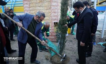 جشن درختکاری در منطقه 18 14