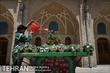 در پس کوچه های تهران قدیم 16