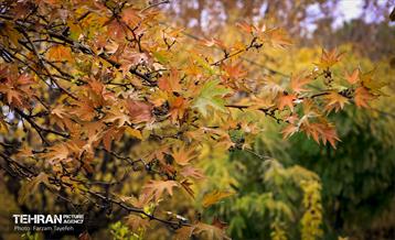 گذرگاه های پاییزی پایتخت - منطقه 5