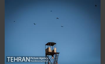 آزادسازی پرندگان و جمع آوری زباله در پارک جنگلی خجیر 32