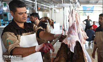 مرکز عرضه دام بهداشتی به مناسبت عید قربان 37