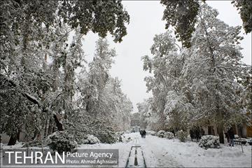 بارش اولین برف پاییزی در تهران 5