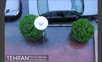 عصر بارانی تهران 13