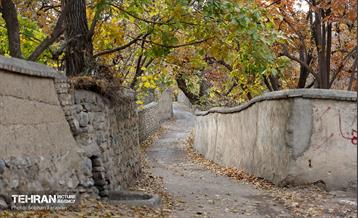 طبیعت پاییزی کوچه باغ‌های محله کن 10