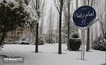 روز برفی در منطقه 8