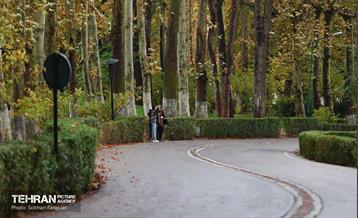 طبیعت پاییزی مجموعه فرهنگی تاریخی سعدآباد  16