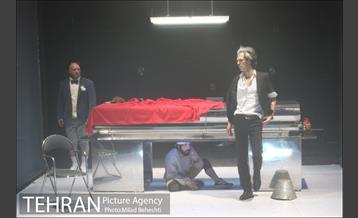 نمایش موی سیاه خرس زخمی 6