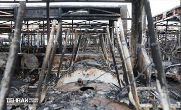 بازدید سفرا از تخریب اموال عمومی شهر 79