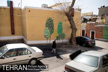 کوچه های رنگی منطقه شانزده 32