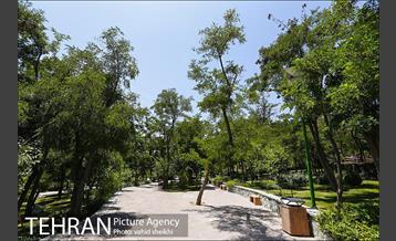 بوستان گلابدره 6