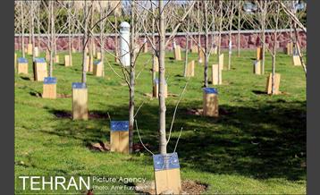 حال و هوای پایتخت در اولین روز بهار 13