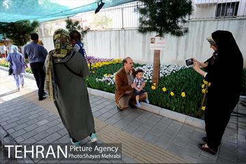 پیاده راه لاله مادران 37
