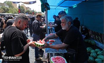 آیین پیاده‌روی جاماندگان اربعین حسینی(3) 22