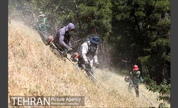 علف زنی بوستانهای تهران برای مقابله با آتش سوزی 1