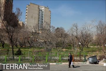بازدید نمایندگان سازمان ملل از دره فرحزاد و محله اسلام آباد 38
