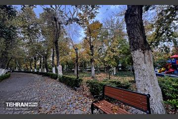 پاییز پارک شهر 12