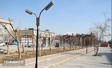 احداث باغ راه حضرت فاطمه(س)