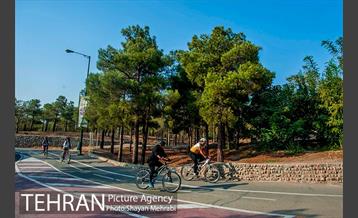 بوستان جنگلی چیتگر 17