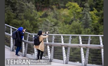 برگزاری اولین تور مسابقه عکس روز تهران به مناسبت روز تهران 20