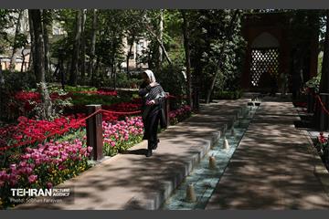 باغ ایرانی میزبان لاله‌ها 46