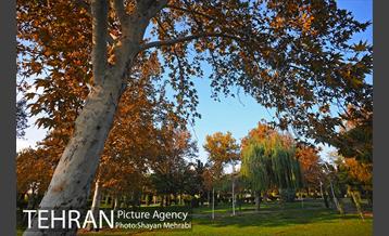 طبیعت پاییزی بوستان لاله 4