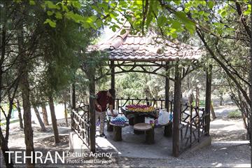 بوستان آزادگان 21