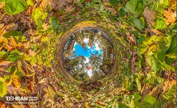 گذرگاه های پاییزی پایتخت - باغ فردوس  28