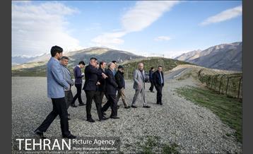 بازدید از پروژه جنگل کاری 1250 هکتاری 27