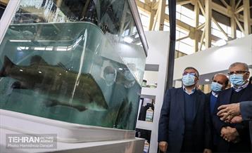 نمایشگاه بزرگ توانمندی ها جهاد دانشگاهی 21