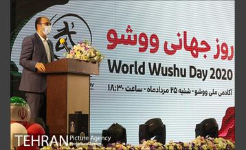 مراسم روز جهانی ووشو 5