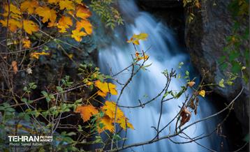 سمفونی رنگ های پاییزی - دربند 8