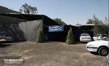 مرکز عرضه دام بهداشتی به مناسبت عید قربان 54