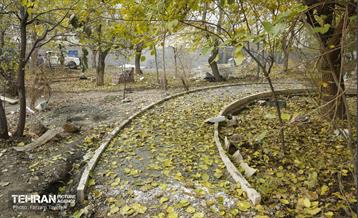 مراحل احداث پروژه ی باغ باهنر 18