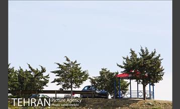 بوستان جنگلی کوهسار 8