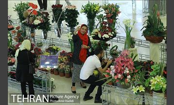 چهاردهمین نمایشگاه بین المللی گل و گیاه تهران 17