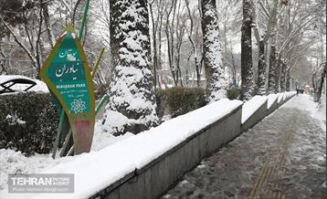روز برفی تهران - 2 33