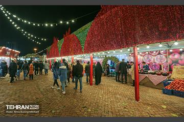 جشنواره انار در بوستان آب و آتش  9