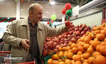 بازدید مدیرعامل سازمان تره‌وبار از میادین میوه 33