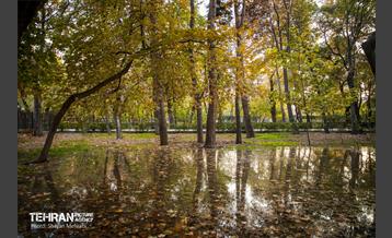 سمفونی رنگ های پاییزی - پارک شهر 41