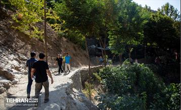 شهرنگار؛ درکه 24